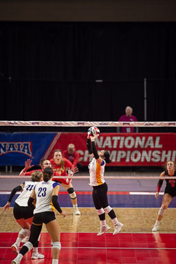 Bruins-Wildcats-NAIA-2024